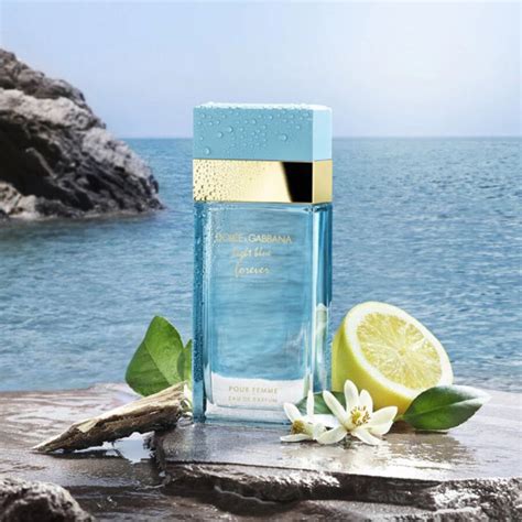 dolce gabbana light blue forever woman|dolce and gabbana light blue eau intense.